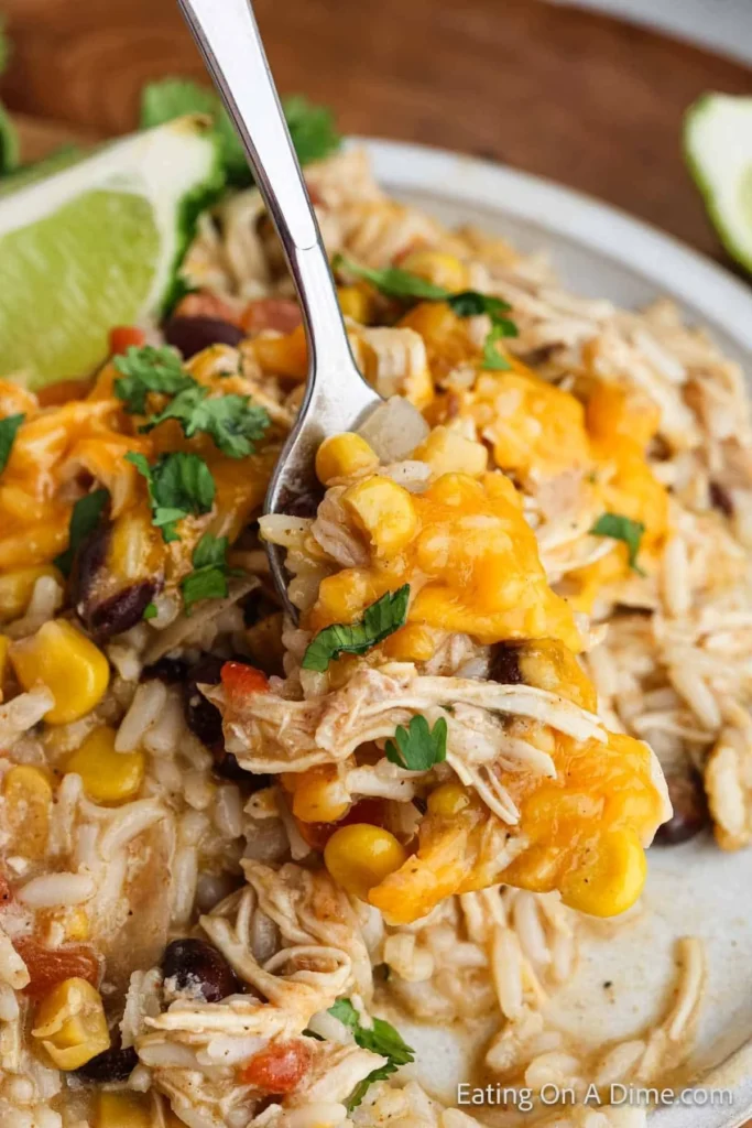 Delicious Southwest Crock Pot Chicken and Rice served in a bowl with cilantro garnish